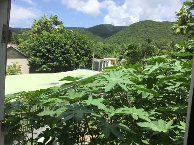 Habitation Baliache - Maison Creole Avec Jardin Privatif, Plage A 200M Deshaies Kültér fotó